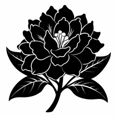 Fototapeta premium Rhododendron Black silhouette