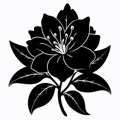 Rhododendron Black silhouette