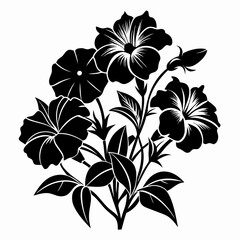 Petunias Black silhouette, illustration