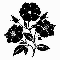 Petunias Black silhouette, illustration