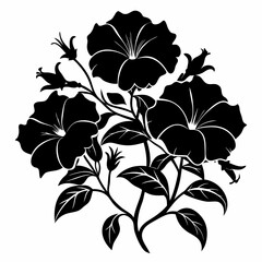 Petunias Black silhouette, illustration