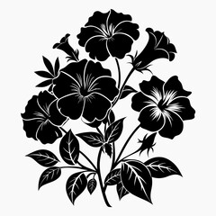 Petunias Black silhouette, illustration