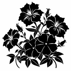 Petunias Black silhouette, illustration