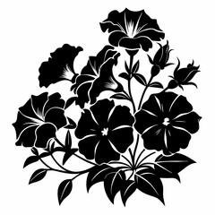 Petunias Black silhouette, illustration