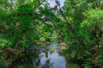america, bay, boulders, canoe, cascade, class, current, cypress, flora, florida, forest, hillsborough, kayak, knees, landscape, limestone, nature, park, places, rapids, recreation, river, scenic,