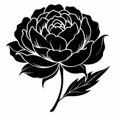 Peony Black silhouette