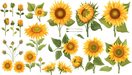 Obraz premium Bright yellow sunflowers in full bloom isolated on a white background, capturing the beauty of summer and nature