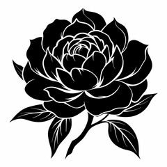 Peony Black silhouette