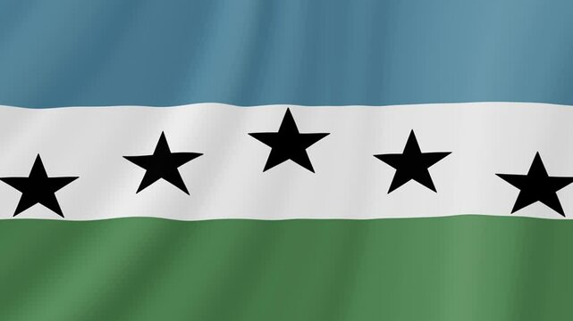 Firestone, Colorado Waving Flag. Realistic Flag Animation. Seamless Loop Background.