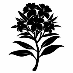 Oleander Black silhouette