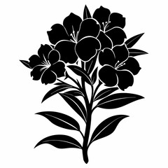 Oleander Black silhouette