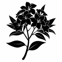 Oleander Black silhouette