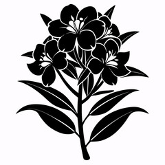 Oleander Black silhouette