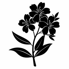 Oleander Black silhouette