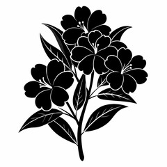 Oleander Black silhouette