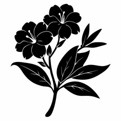 Oleander Black silhouette