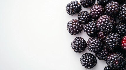 Fresh Blackberries on a White Background