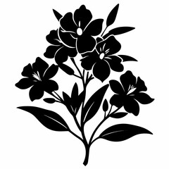Oleander Black silhouette