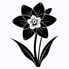 Narcissus Black silhouette