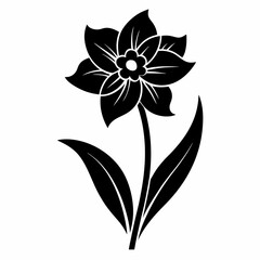 Narcissus Black silhouette