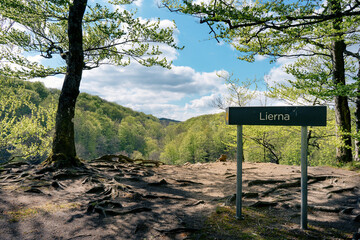 A photo from a nature reserve in Sweden called Söderåsen. A sign that says 
