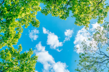 Blue sky background with tiny clouds. Abstract nature background. Copy space.