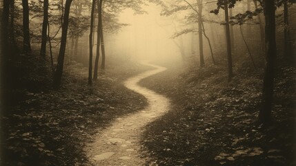 Obraz premium Mysterious winding path through foggy forest at dawn, evoking tranquility and solitude.