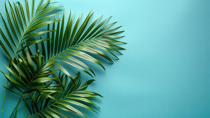 Obraz premium Palm leaf on green blue background with space for text