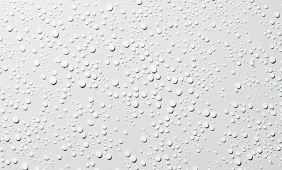 drops of water white backgounds