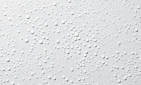 drops of water white backgounds