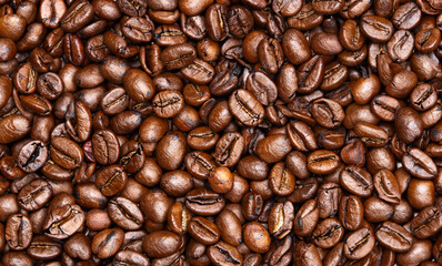 Fototapeta premium coffee beans background