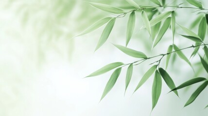 Fototapeta premium Minimalist Illustration of Serene Bamboo Leaves Swaying in the Breeze Against an Abstract Background, with Empty Space on the Side