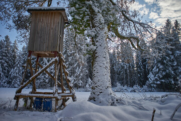Hunters' post in the snowy forest on a day with blue skies and clouds