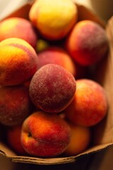 Fresh peaches gathered in a cardboard box during harvest season