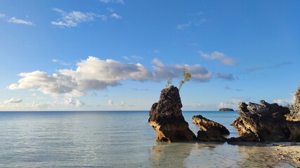Fototapeta premium Bermuda, the island of tropical paradise