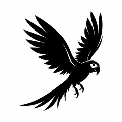 Fototapeta premium Parrot silhouette on white background
