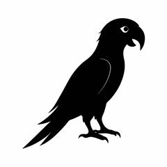 Fototapeta premium Parrot silhouette on white background