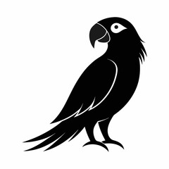 Obraz premium Parrot silhouette on white background