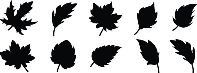 Hand drawn autumn collection with seasonal plants and leaves. Set of hand drawn plants, leaves. Natural elements for seasonal backgrounds. vector eps10