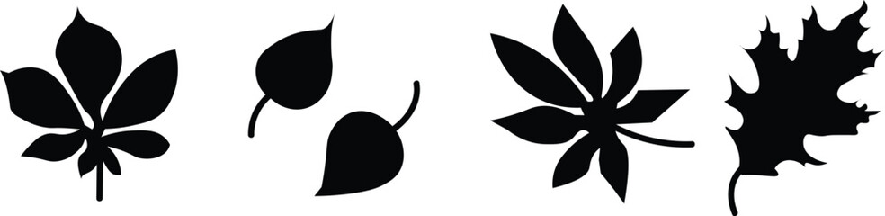 Hand drawn autumn collection with seasonal plants and leaves. Set of hand drawn plants, leaves. Natural elements for seasonal backgrounds. vector eps10