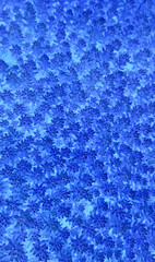 Textured Effect Stock Image Of Blue Floral Pattern 
