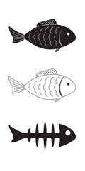 Fish. Fish skeleton. Illustration.