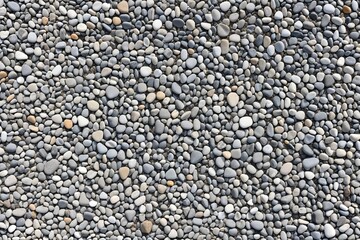 Obraz premium A black and white dog lying on top of a pile of rocks, great for pet or outdoor use