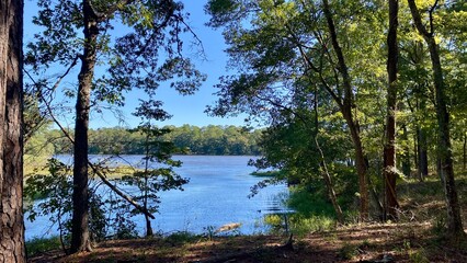 Obraz premium lake in the woods