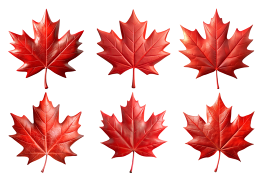 set of red Canadian maple leaf PNG on transparent background, Canadian symbol
