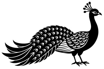 Peacock bird vector silhouette, Peacock bird icon vector illustration
