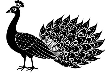 Peacock bird vector silhouette, Peacock bird icon vector illustration