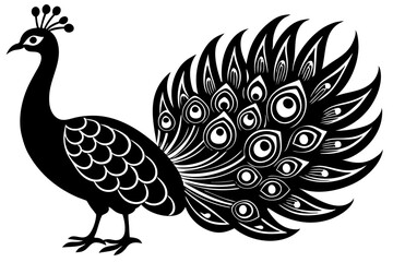 Peacock bird vector silhouette, Peacock bird icon vector illustration