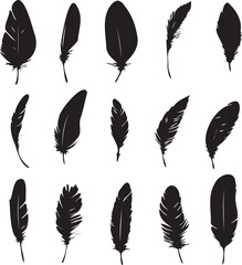 Feathers set black silhouettes