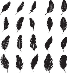 Feathers set black silhouettes